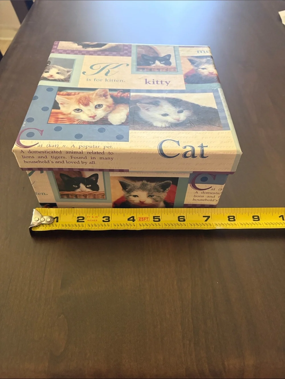 Kitty Cat Decorative Storage Box - Blue and Purple